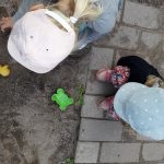 Pihaleikkejä