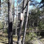 Ryhmän oma linnunpönttö