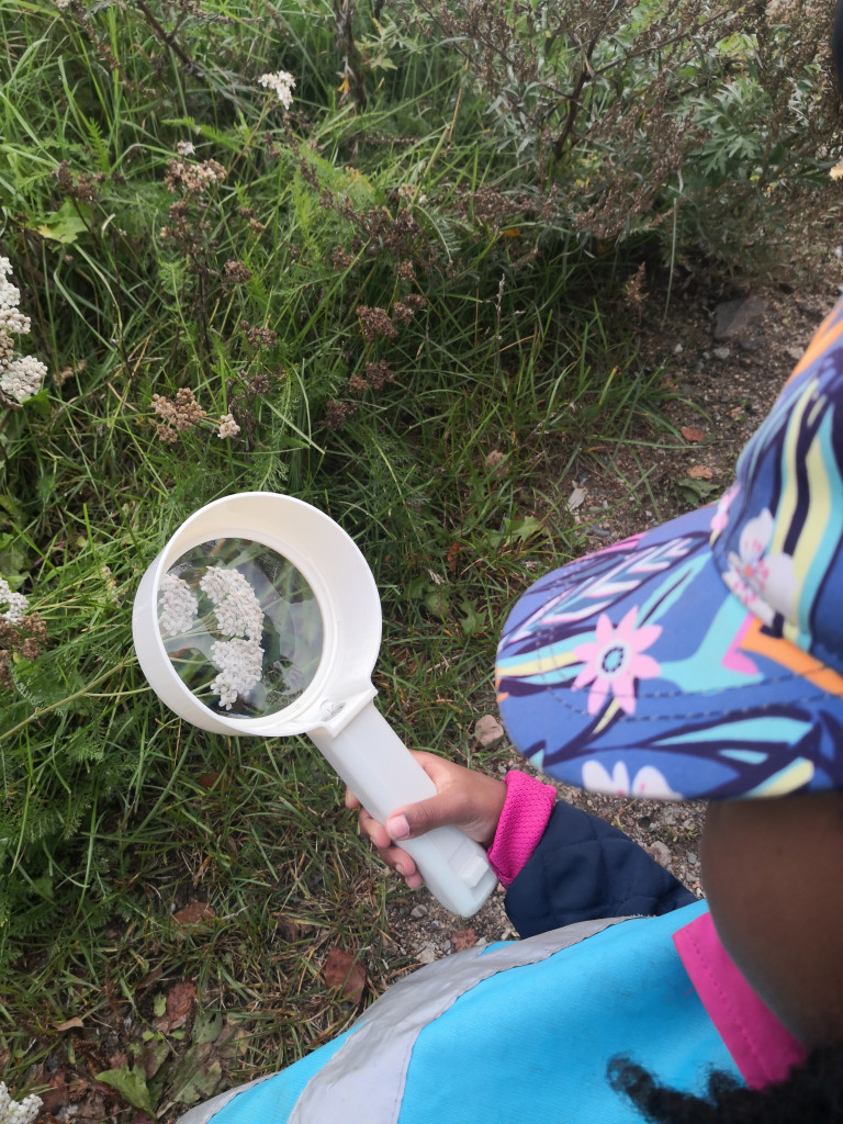 Lapsi tutkii suurennuslasilla kukkaa.