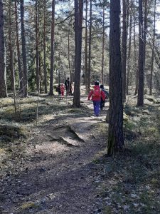 Lapset kävelevät metsässä