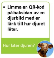 Bild3c