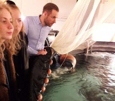 TSYKin luonnontiedelukiolaisia biologian työkurssilla tutustumassa Clewer -yritykseen.
