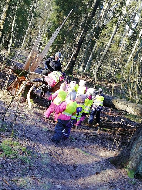 Aikuinen auttaa lapsia kiipeämään polun yli kaatuneen puunrungon yli.