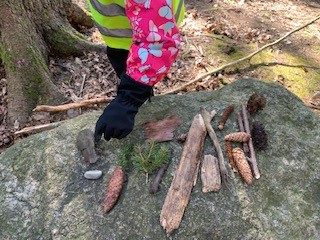 Lapsi esittelee keräämiään metsän aarteita: kaksi kiveä, erimallisia käpyjä, vahvan vihreitä männynoksia, erimallisia keppejä ja oksia.