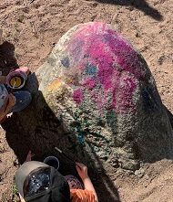 Lapset maalaavat vesiväreillä isoa kiveä.