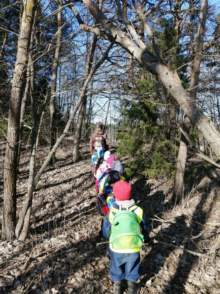 Lapset jonossa suuntaamassa kohti metsää