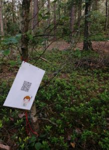 kuva metsästä ja yhdessä puussa roikkuu QR-kooditehtävärasti