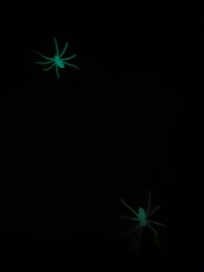 kaksi pimeässä hohtavaa leikkihämähäkkiä. taskulampun valolla laitettu hohtamaan.