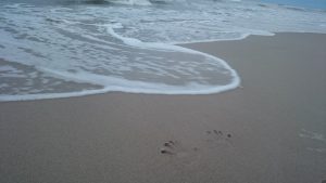 Helin hiekkarannalla
