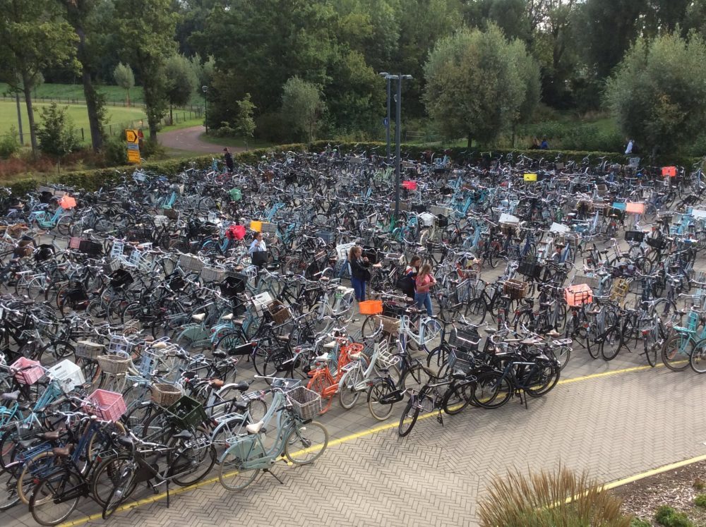 Kuvassa satoja polkupyöriä.