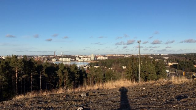 Kuva korkealta kohti havupuiden latvoja ja niiden takaa näkyvää salmea ja edelleen Turun kaupunkia.