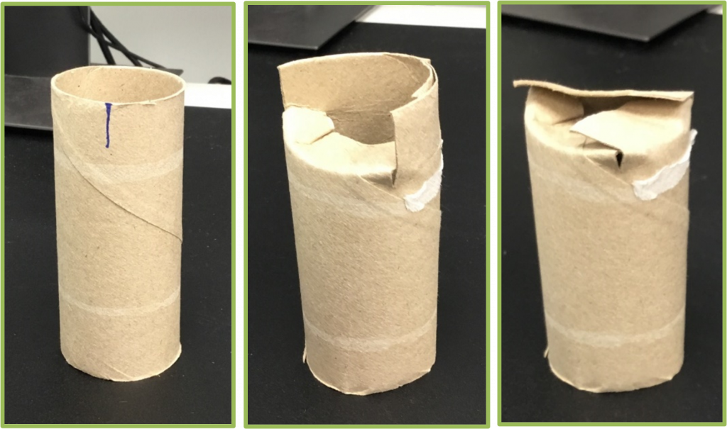 grow-in-toilet-rolls-science-ed