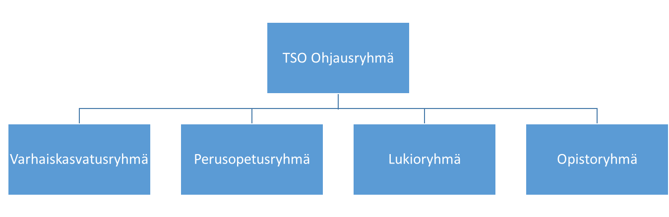 TSO:n organisaatiokaavio: ohjausryhmän alla ovat varhaiskasvatus-, perusopetus-, lukio- ja opistoryhmä.